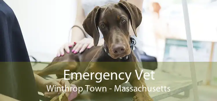 Emergency Vet Winthrop Town - Massachusetts