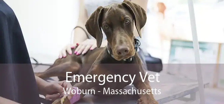 Emergency Vet Woburn - Massachusetts