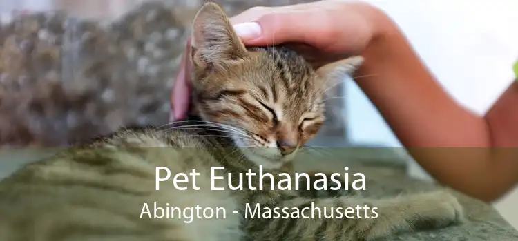 Pet Euthanasia Abington - Massachusetts