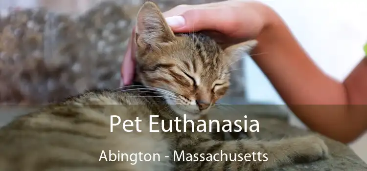 Pet Euthanasia Abington - Massachusetts
