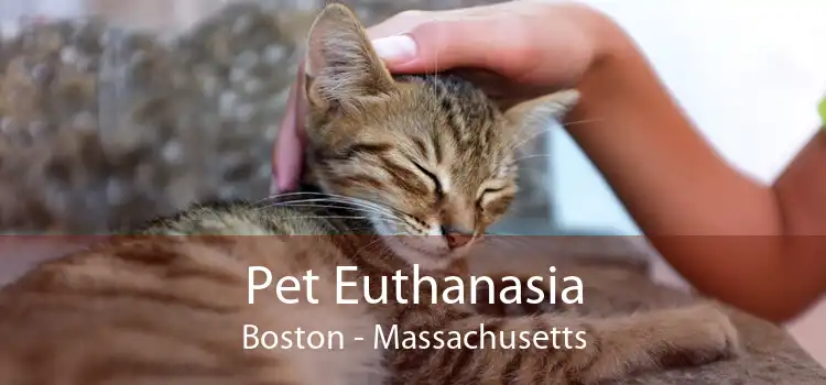 Pet Euthanasia Boston - Massachusetts
