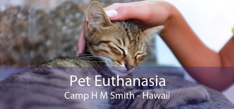 Pet Euthanasia Camp H M Smith - Hawaii