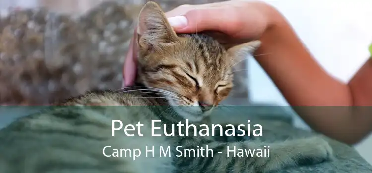 Pet Euthanasia Camp H M Smith - Hawaii