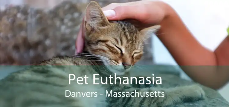 Pet Euthanasia Danvers - Massachusetts