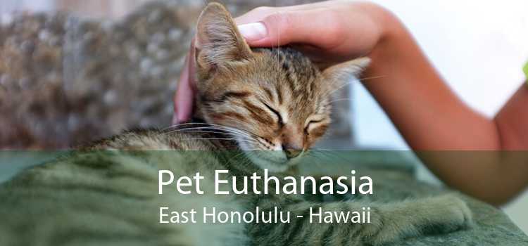 Pet Euthanasia East Honolulu - Hawaii