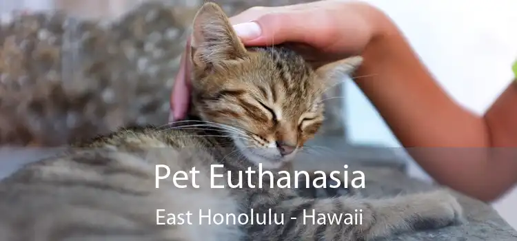 Pet Euthanasia East Honolulu - Hawaii