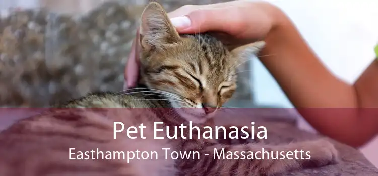 Pet Euthanasia Easthampton Town - Massachusetts