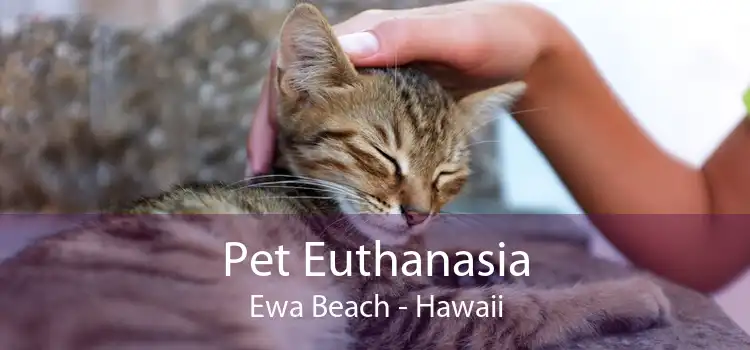 Pet Euthanasia Ewa Beach - Hawaii