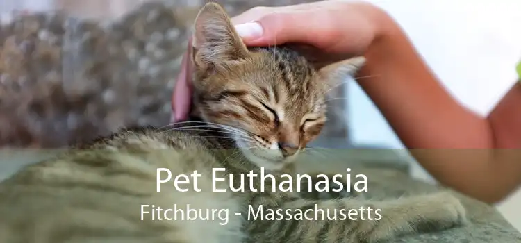 Pet Euthanasia Fitchburg - Massachusetts