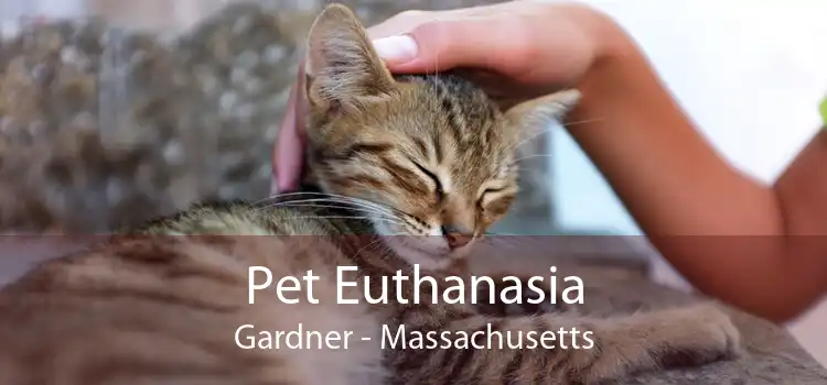 Pet Euthanasia Gardner - Massachusetts