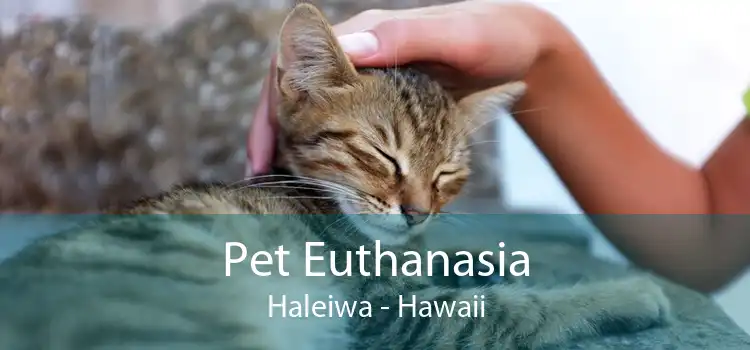 Pet Euthanasia Haleiwa - Hawaii