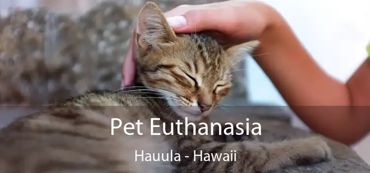 Pet Euthanasia Hauula - Hawaii