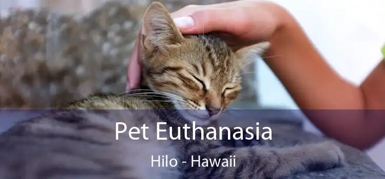 Pet Euthanasia Hilo - Hawaii