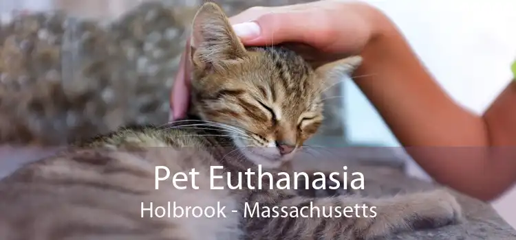 Pet Euthanasia Holbrook - Massachusetts
