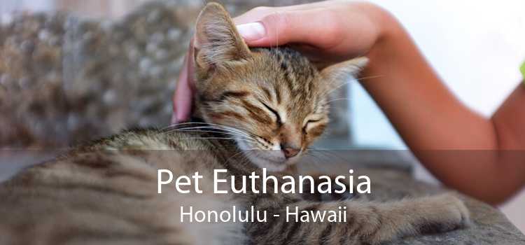 Pet Euthanasia Honolulu - Hawaii