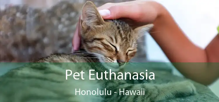 Pet Euthanasia Honolulu - Hawaii