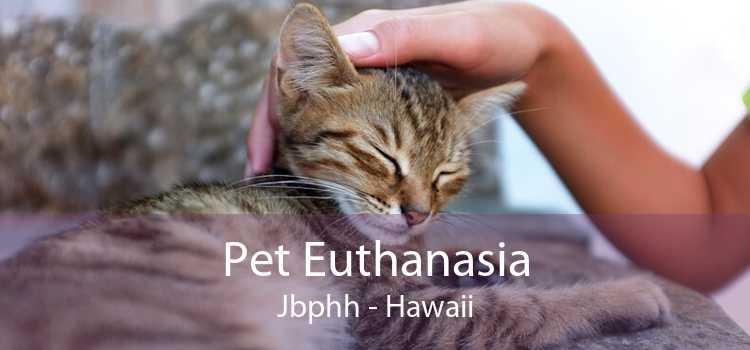 Pet Euthanasia Jbphh - Hawaii