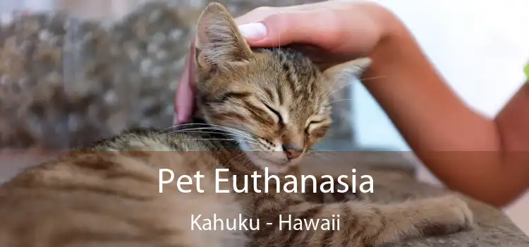 Pet Euthanasia Kahuku - Hawaii