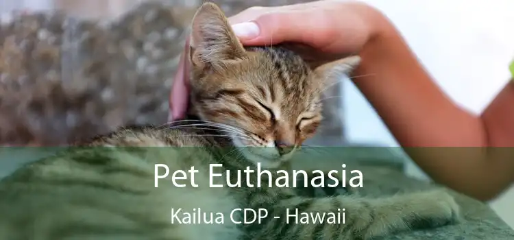 Pet Euthanasia Kailua CDP - Hawaii