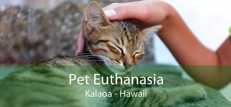 Pet Euthanasia Kalaoa - Hawaii
