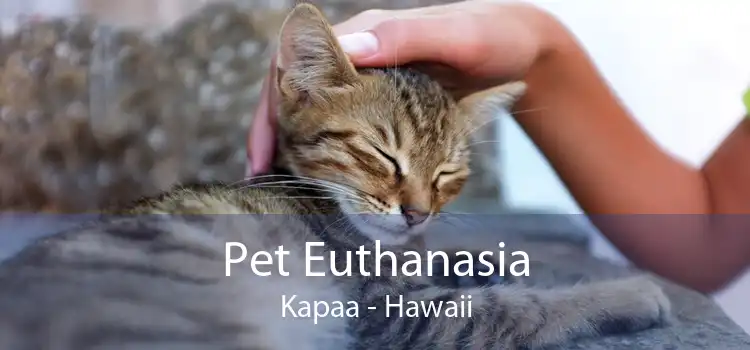 Pet Euthanasia Kapaa - Hawaii