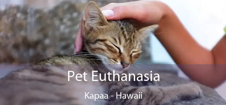 Pet Euthanasia Kapaa - Hawaii