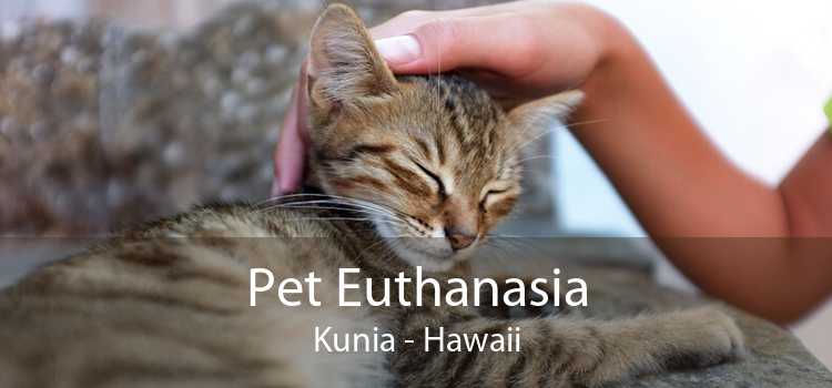 Pet Euthanasia Kunia - Hawaii
