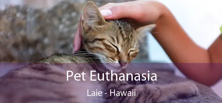 Pet Euthanasia Laie - Hawaii