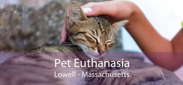 Pet Euthanasia Lowell - Massachusetts