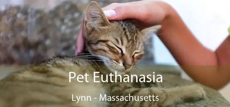 Pet Euthanasia Lynn - Massachusetts