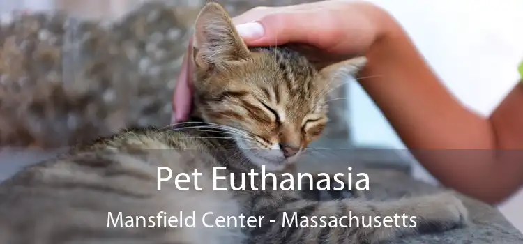 Pet Euthanasia Mansfield Center - Massachusetts