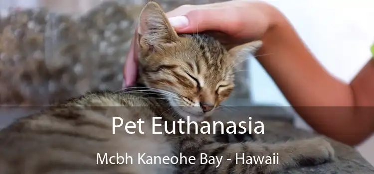 Pet Euthanasia Mcbh Kaneohe Bay - Hawaii