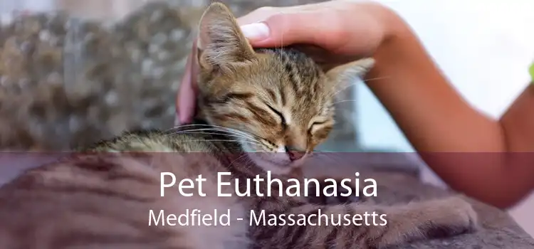 Pet Euthanasia Medfield - Massachusetts