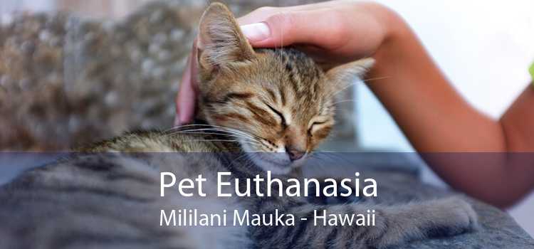 Pet Euthanasia Mililani Mauka - Hawaii