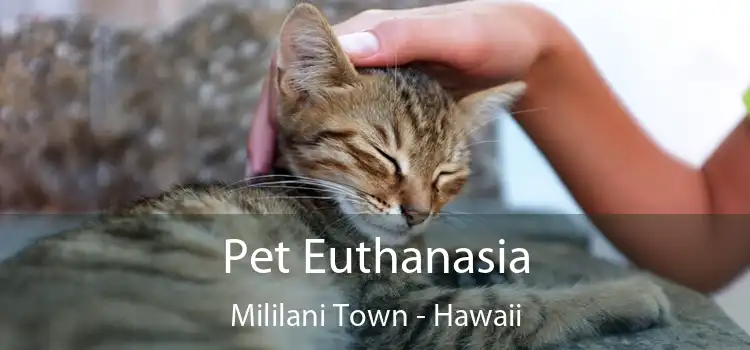 Pet Euthanasia Mililani Town - Hawaii