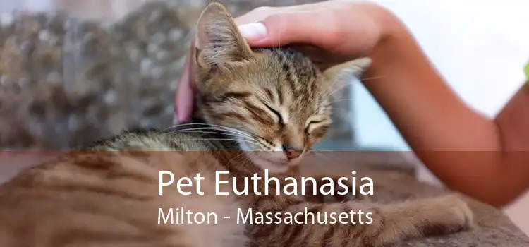 Pet Euthanasia Milton - Massachusetts