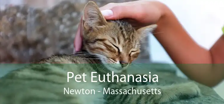 Pet Euthanasia Newton - Massachusetts