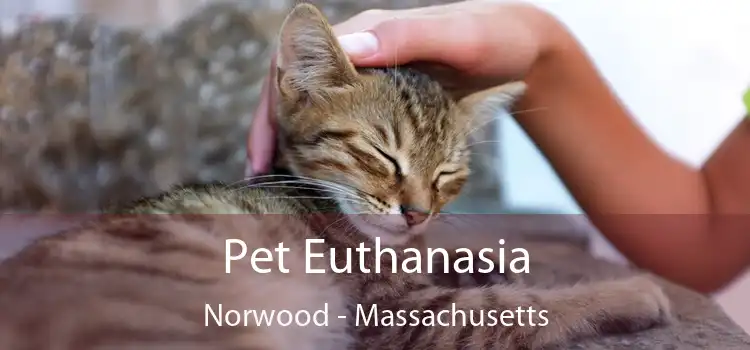 Pet Euthanasia Norwood - Massachusetts