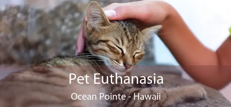 Pet Euthanasia Ocean Pointe - Hawaii