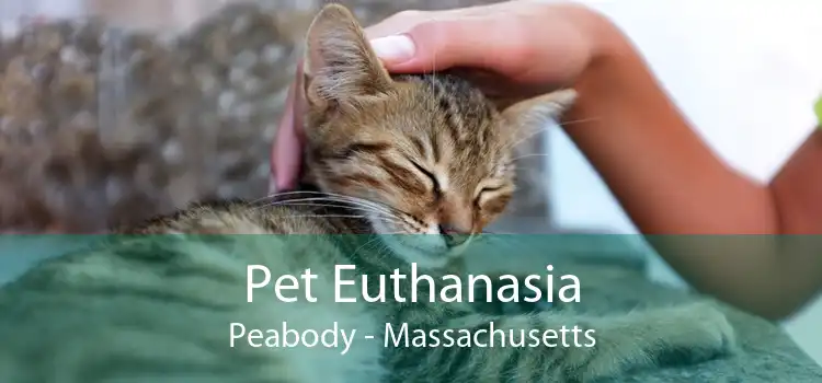 Pet Euthanasia Peabody - Massachusetts
