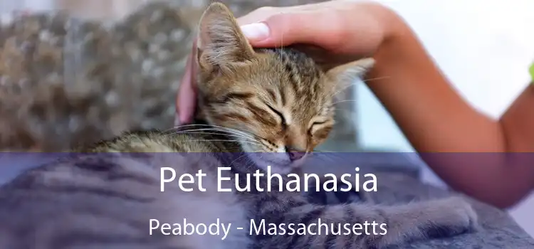 Pet Euthanasia Peabody - Massachusetts