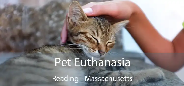 Pet Euthanasia Reading - Massachusetts