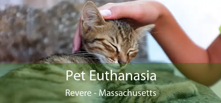 Pet Euthanasia Revere - Massachusetts