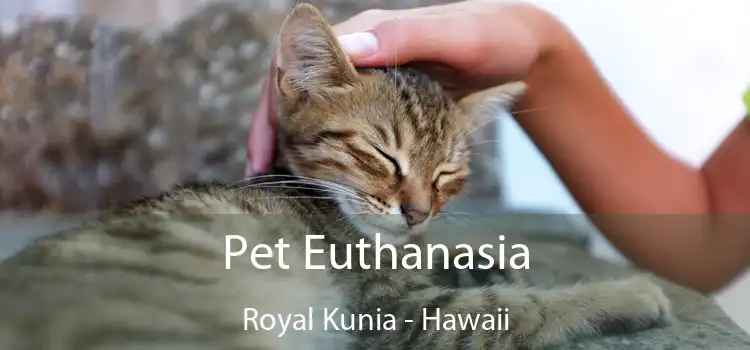 Pet Euthanasia Royal Kunia - Hawaii