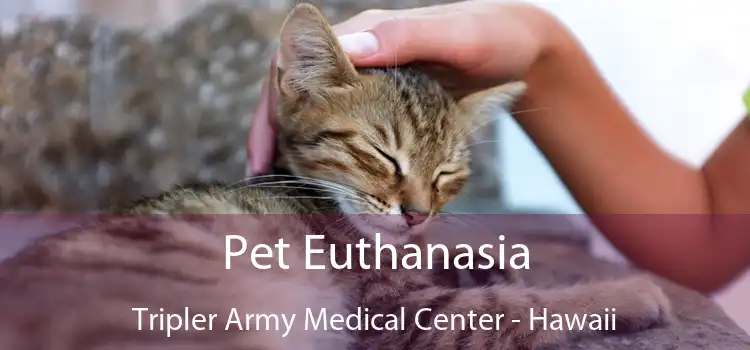Pet Euthanasia Tripler Army Medical Center - Hawaii