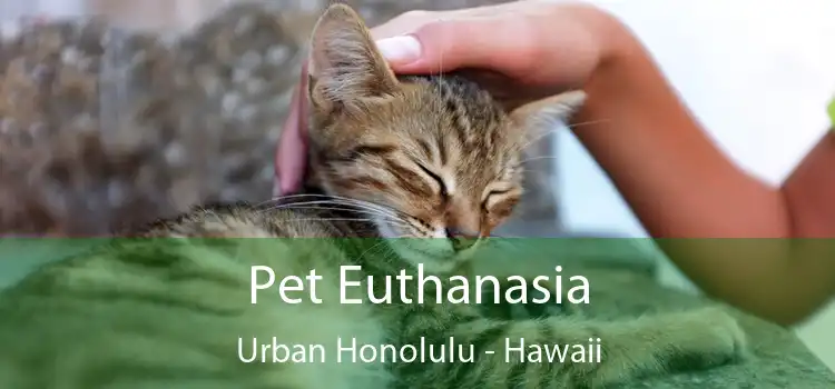 Pet Euthanasia Urban Honolulu - Hawaii