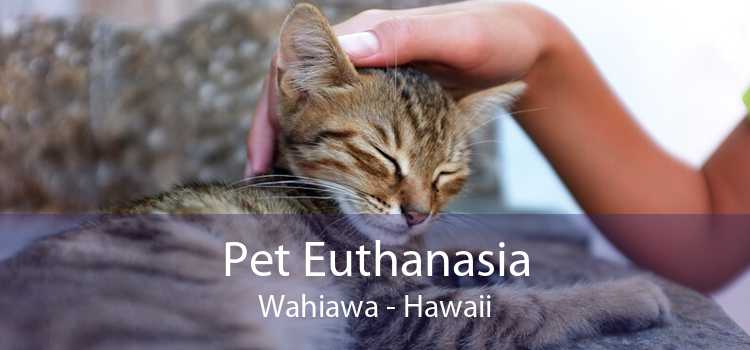 Pet Euthanasia Wahiawa - Hawaii
