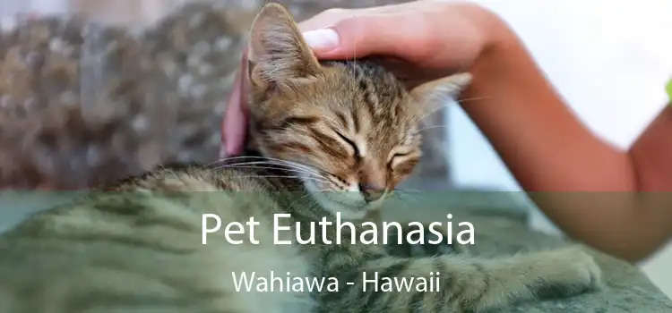 Pet Euthanasia Wahiawa - Hawaii