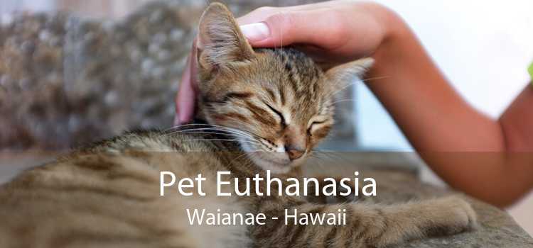 Pet Euthanasia Waianae - Hawaii