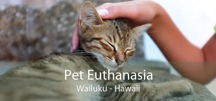 Pet Euthanasia Wailuku - Hawaii